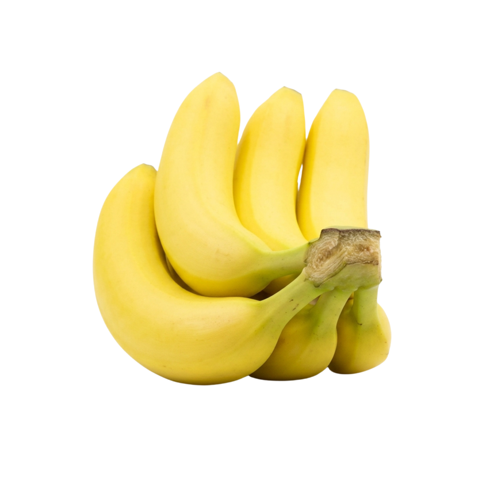 Premium Fresh Cavendish Bananas (1 Bunch) - Image 2
